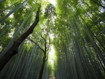 太空站视角